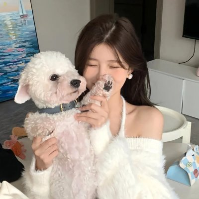 恋爱前规则 海报