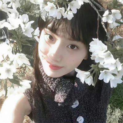 高年新生 海报